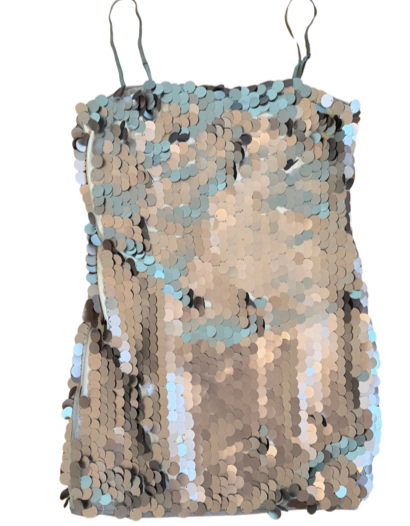 More To Come - Yarina Mini Dress - Matte Silver - S (Like New)