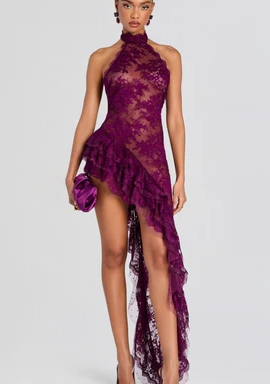 Anselmo Lace Dress