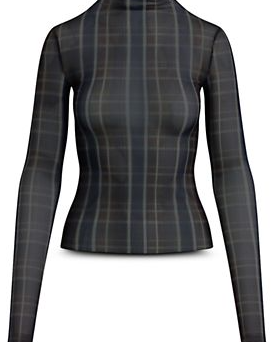 The Sheer Fantasy Printed Mesh Top