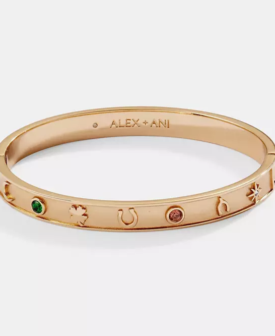 Lucky Hinge Bangle Bracelet
