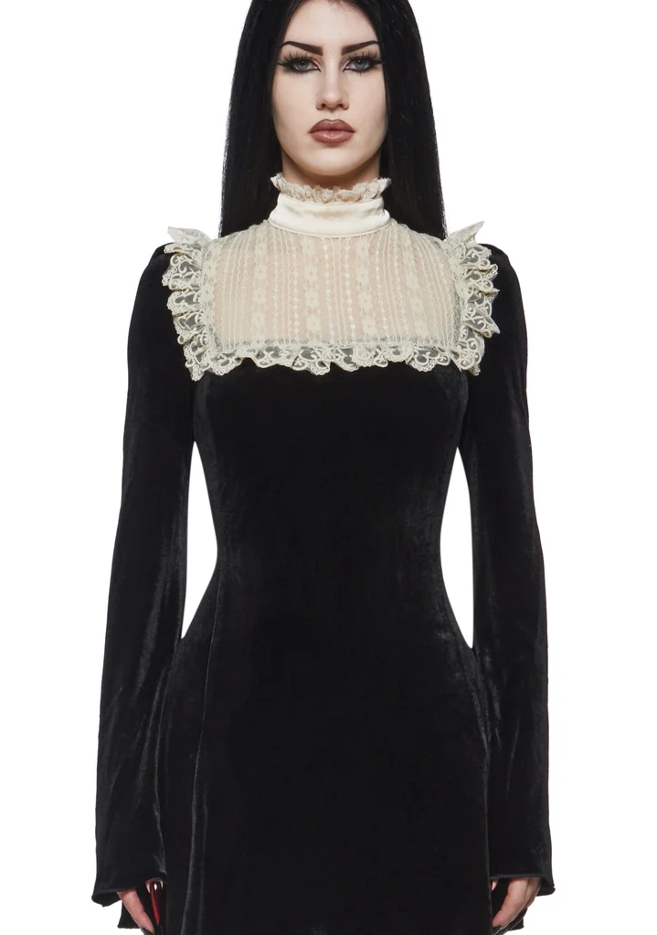 Ivy Lace Long Sleeve Mini Dress