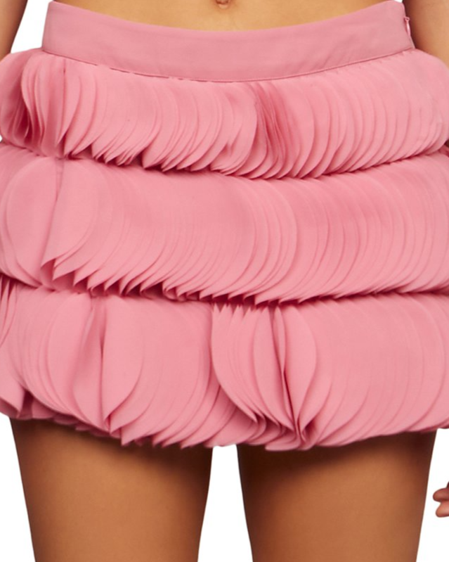 Jazzlyn Appliqué Skirt