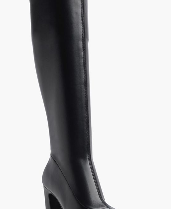 Women's Chaoniel Snip Toe Dress Boots