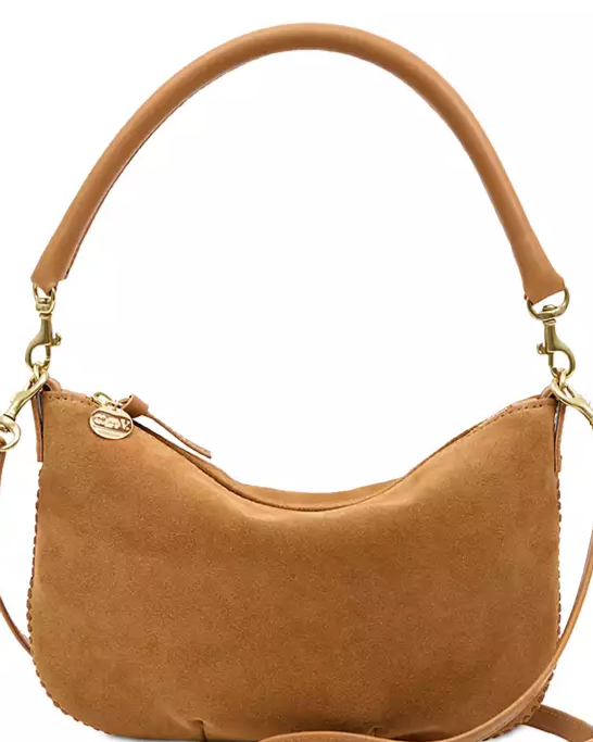 Petit Moyn Suede Convertible Crossbody Bag