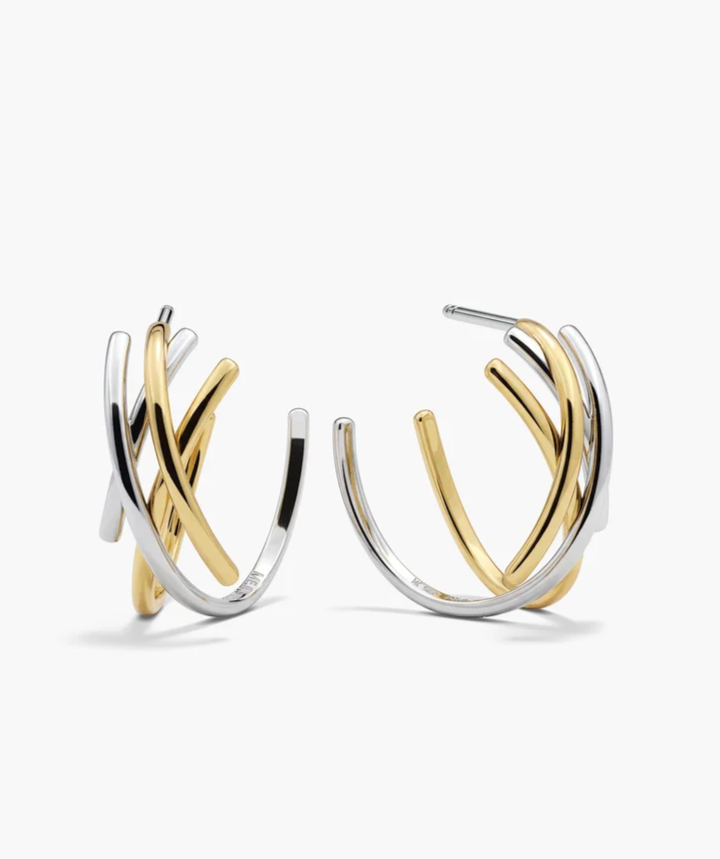 Interconnected Lattice Hoops