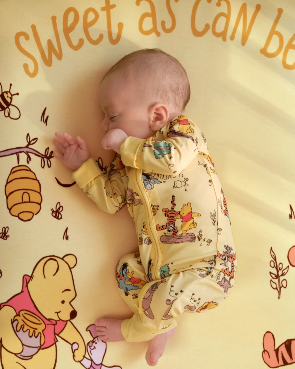Disney Playtime with Pooh Zippy