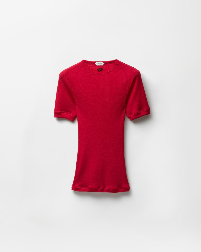 Embroidered Wool Ribbed Knit T-Shirt