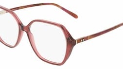 Salvatore Ferragamo SF3079