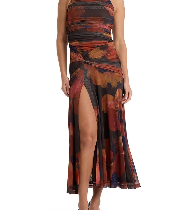 Natalya Printed Mesh Midi Dress