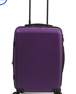 20in Malden Hardside Carry-on Spinner