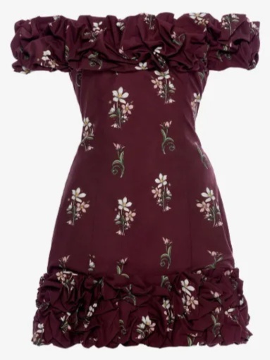 Jardin Noche mini dress