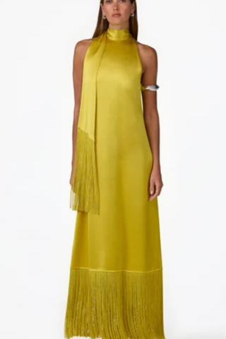 Silk Fringe Gown