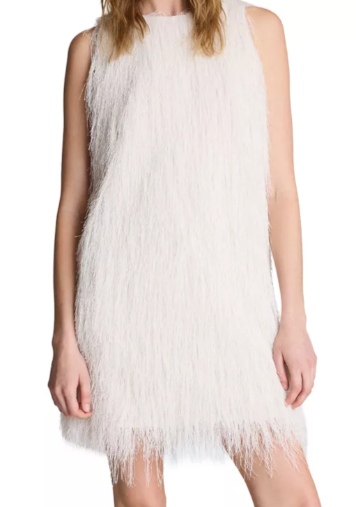 Women's Fringed Mini Dress