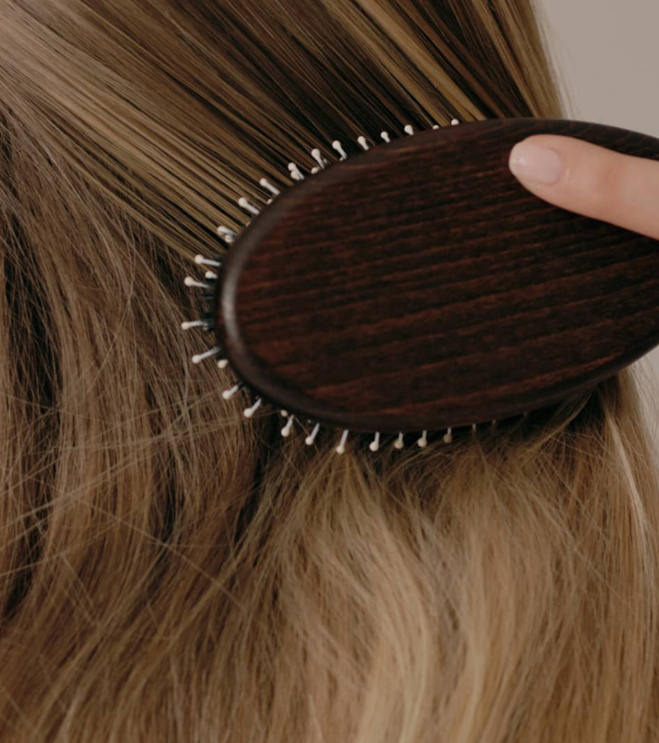Nylon Brush