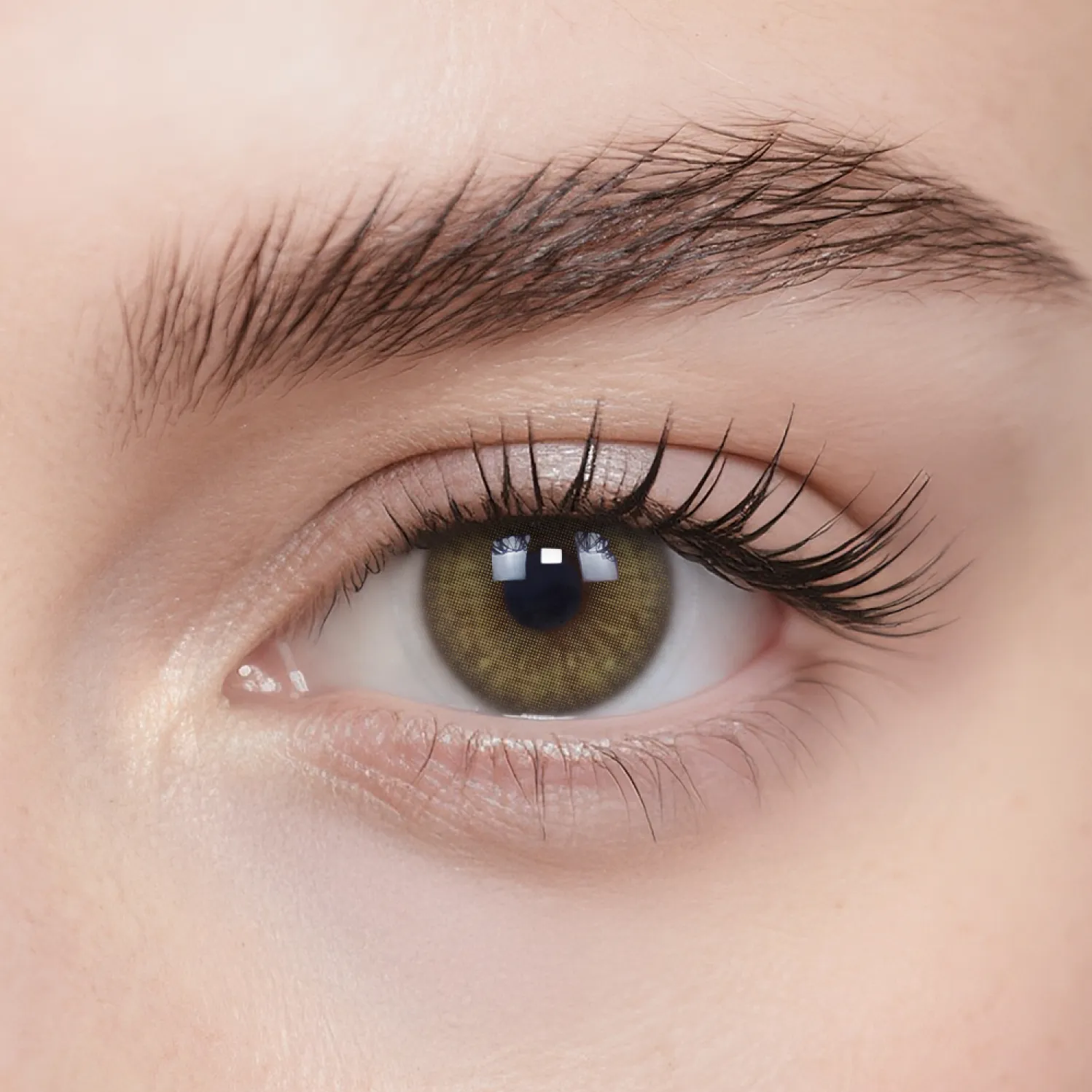 Moor Hazel