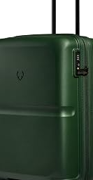 Single Stripe Checked Medium Luggage, Green
