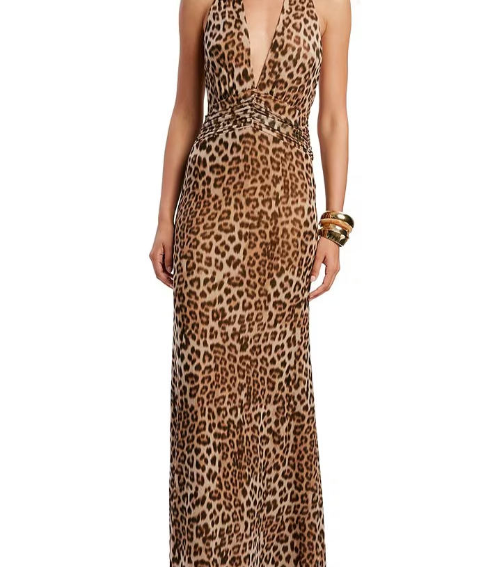 Elera Print Mesh V Neck Long Dress