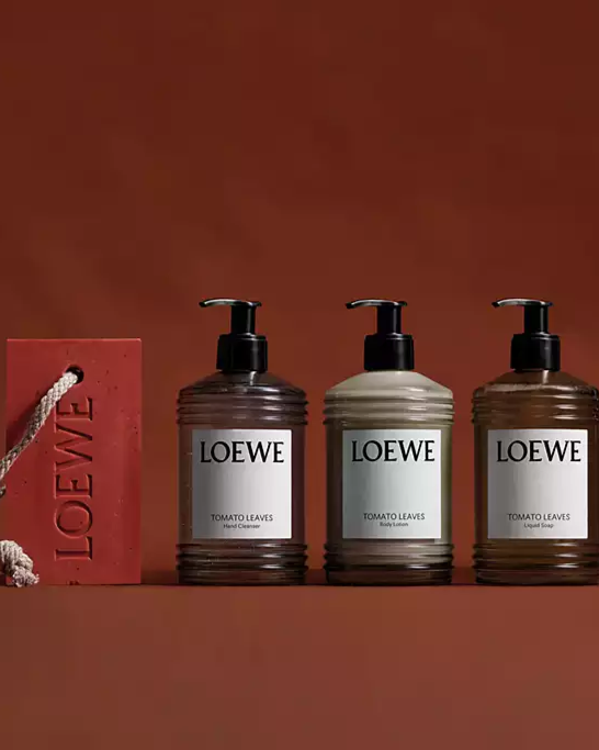 Tomato Leaves Hand Cleanser 12 oz.