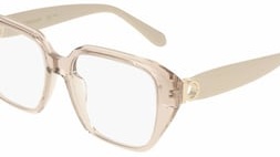 Salvatore Ferragamo SF3073