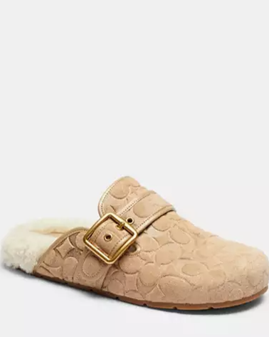 Archival Buckle Clog With Signature Suede And Shearling