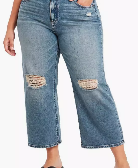 Plus Size High-Rise Straight Ankle Jeans