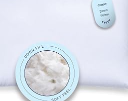 Sleep Down Pillow for Sleeping - Standard, White