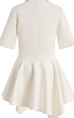 Arcadia Cotton-Blend Mini Dress