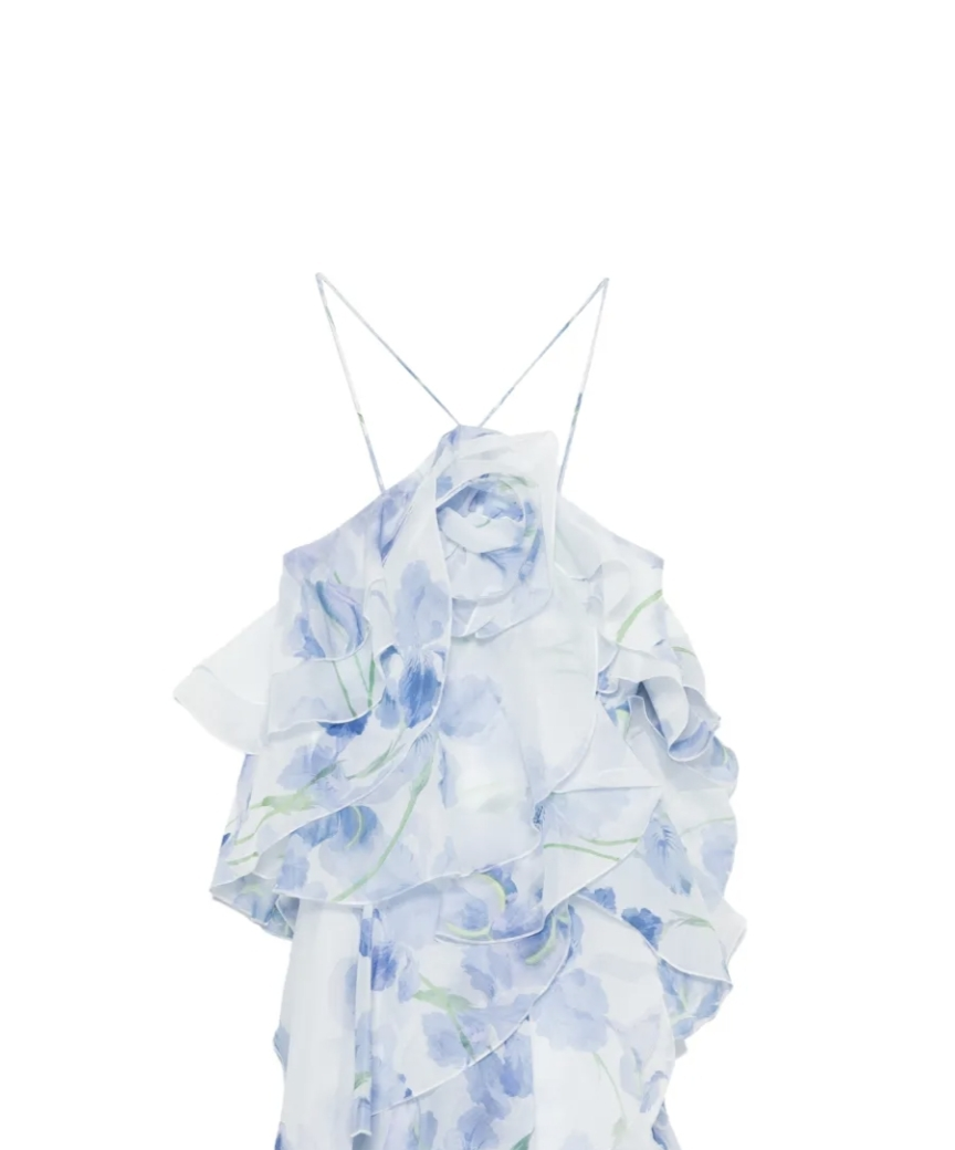Pandorea layered floral mini dress