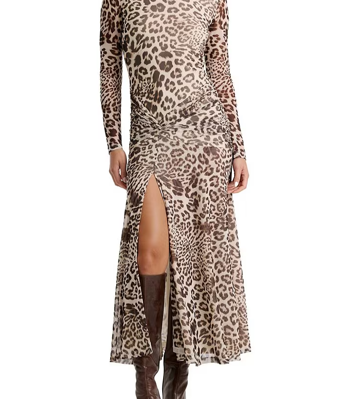 Lea Leopard Print Mesh Mock Neck Long Sleeve Ruched Side Slit Midi Dress