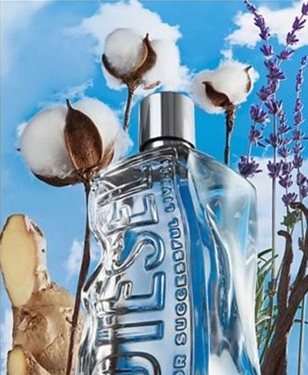 D by Diesel Eau de Toilette Fragrance Collection