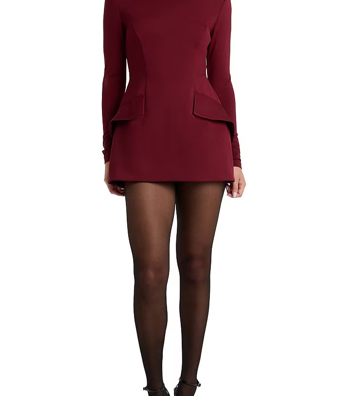 Lizet Long Sleeve Mock Neck Mini Dress