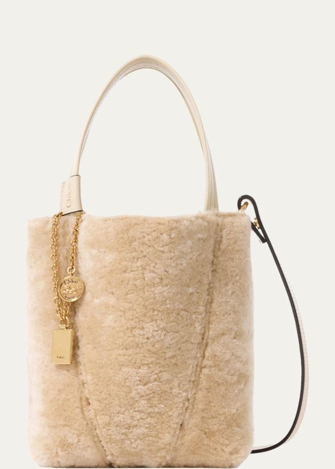 Spin Small Shearling Tote Bag