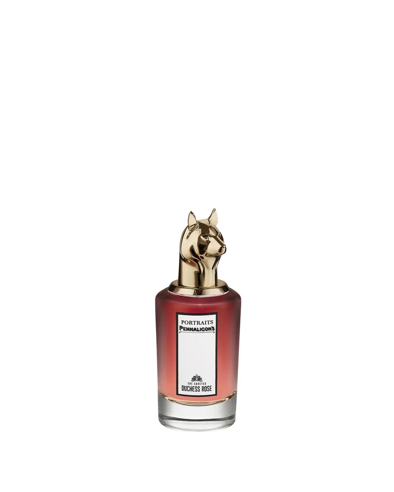 The Coveted Duchess Rose
