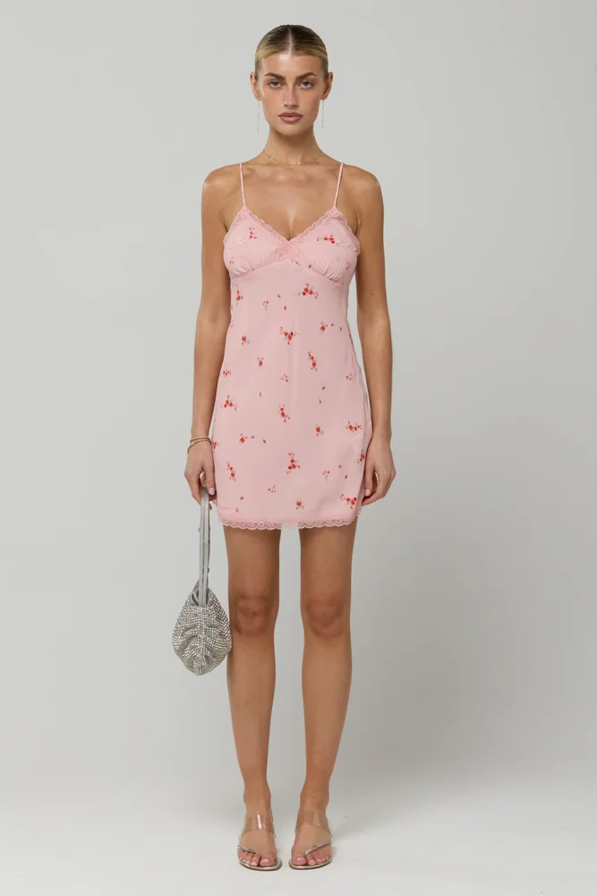 Bianca in Sweet Pea