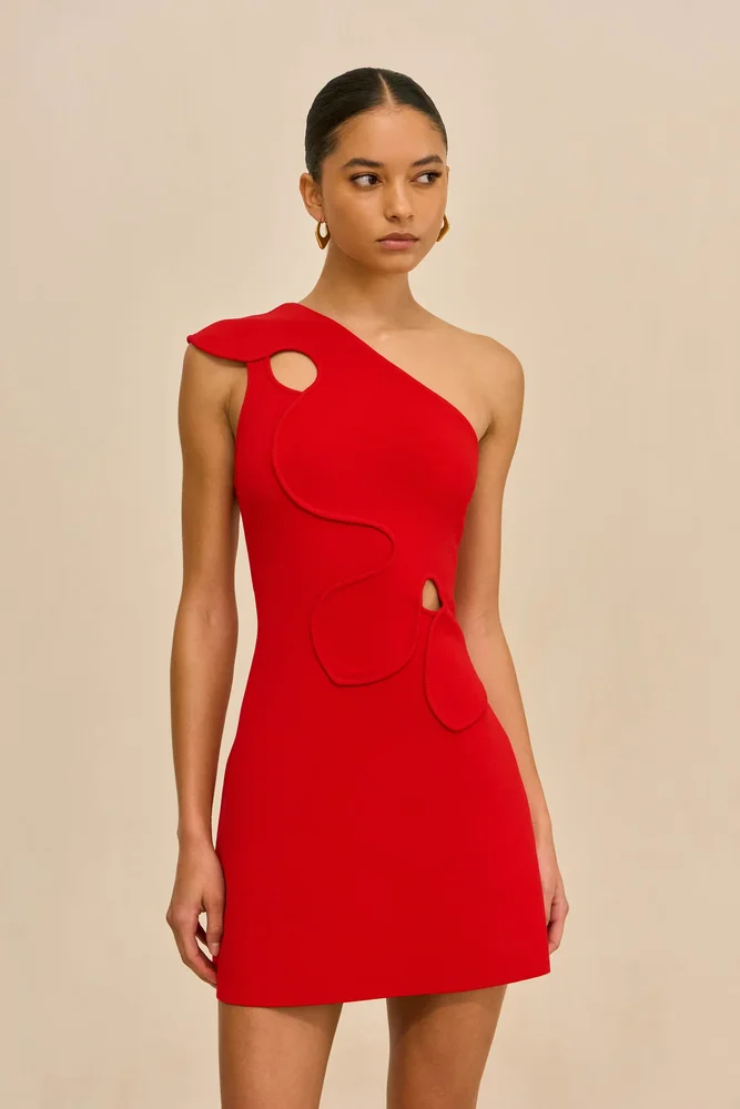 Labella Dress