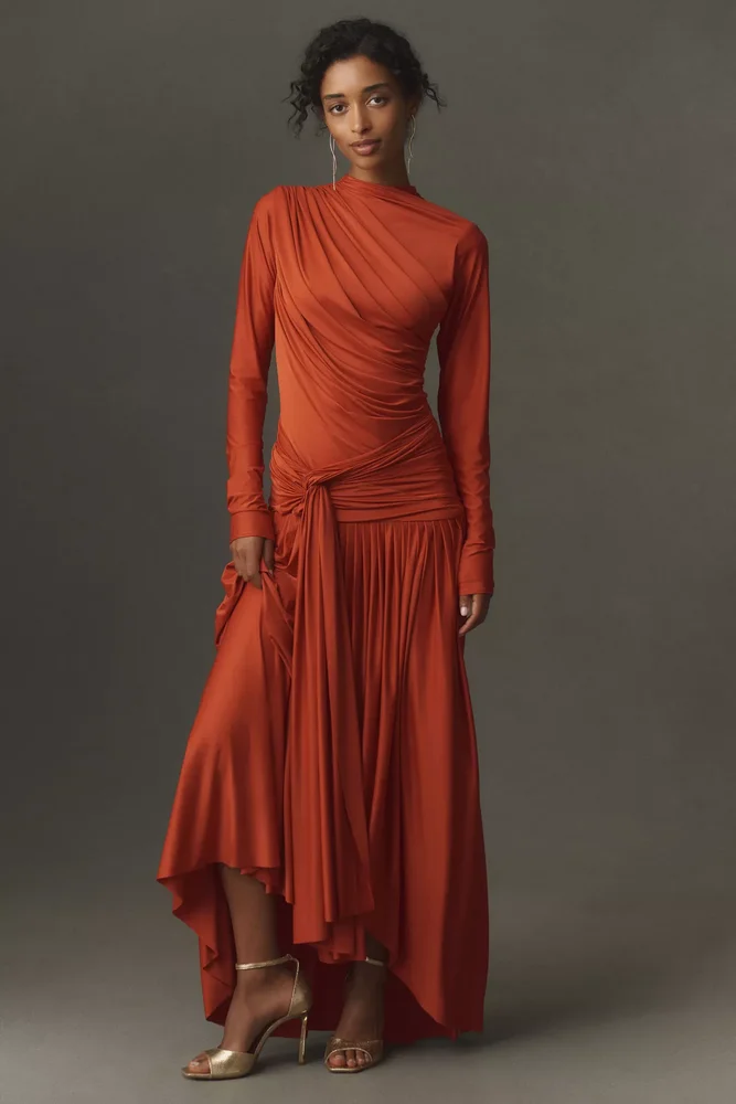 Crocus Long-Sleeve Maxi Dress