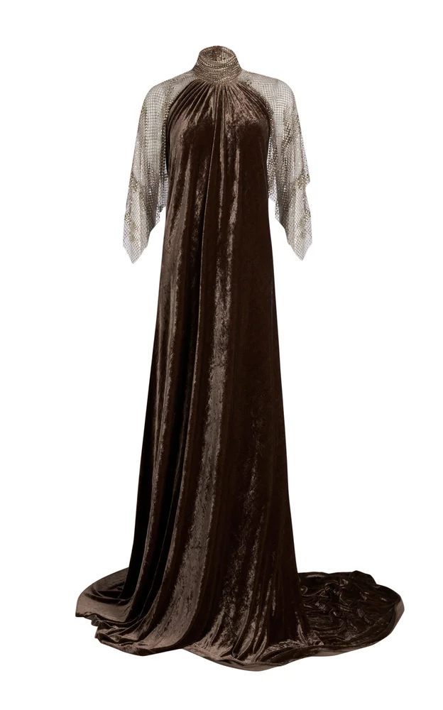 Willow Embellished Velour Cape Gown