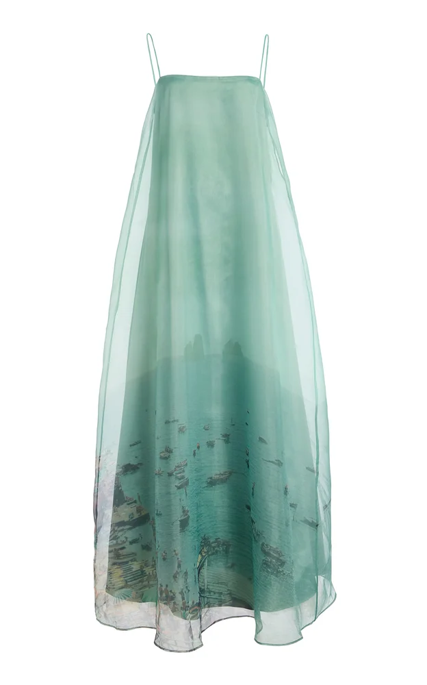 Delfina Printed Organza Maxi Dress