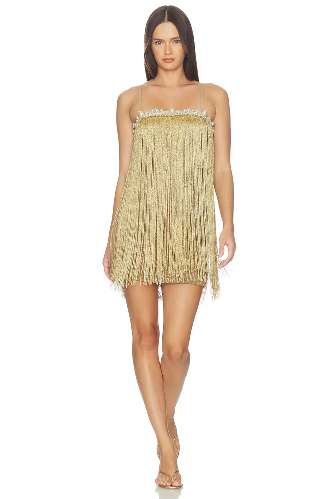 Aurea Crochet Mini Dress