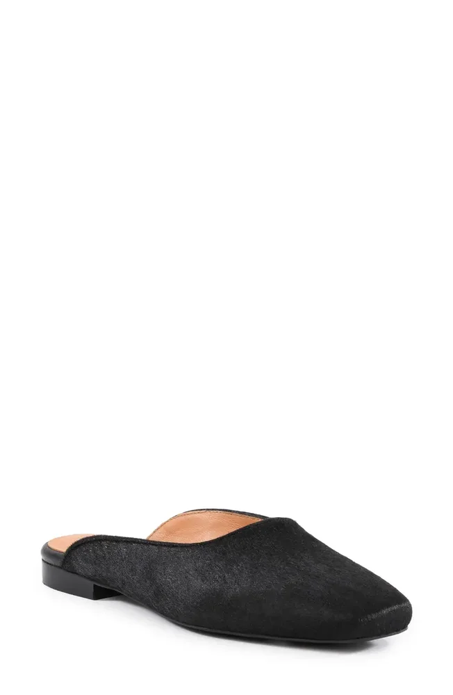 Prim & Proper Mule
