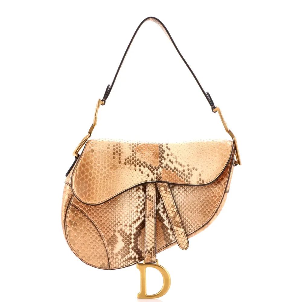 Dior Saddle Handbag Python Medium, Neutral