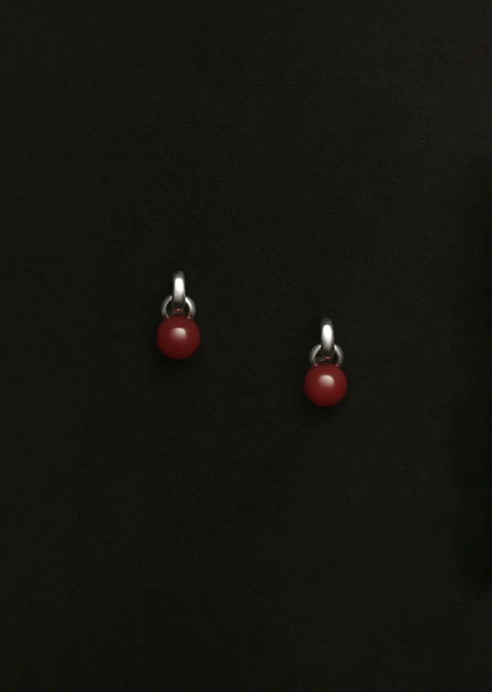 Conch Shell Earrings