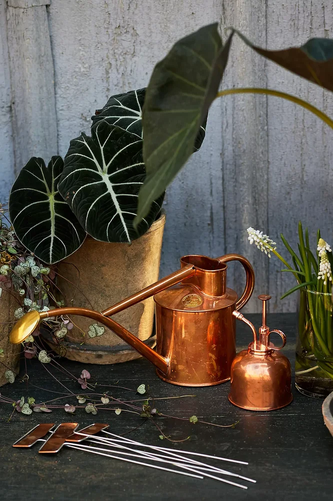 Rowley Ripple Watering Can + Mister Gift Set