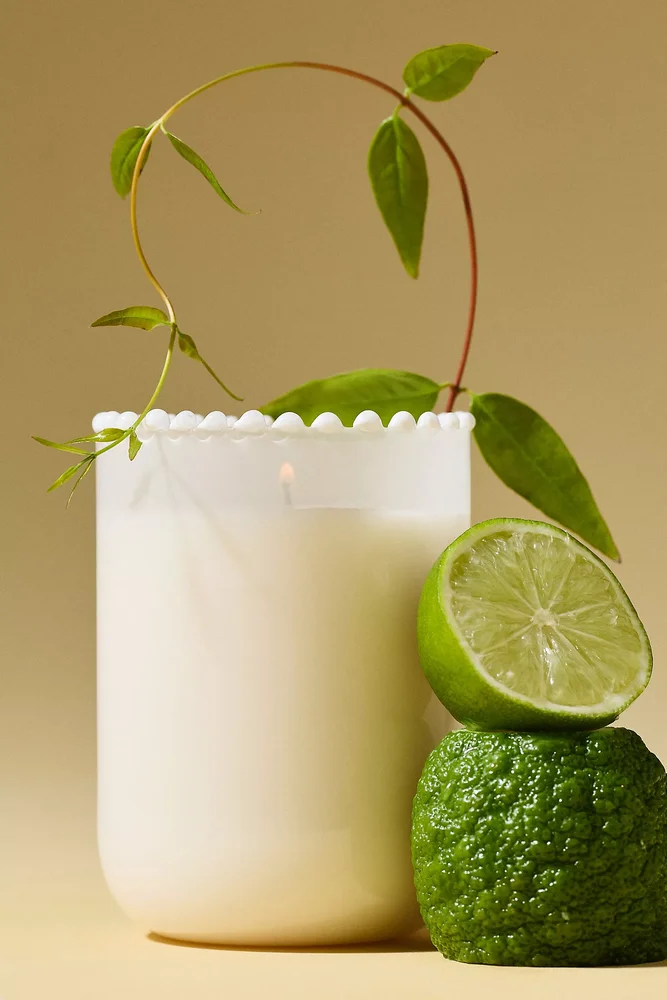 Fresh White Cashmere & Musk Glass Candle
