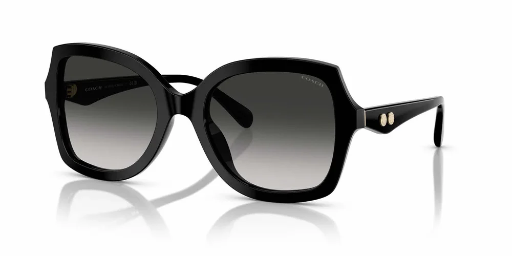 HC8410U Sunglasses