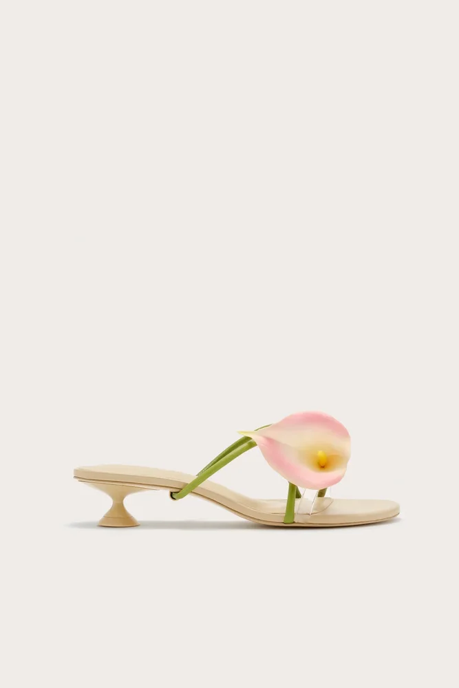 Claire Mule