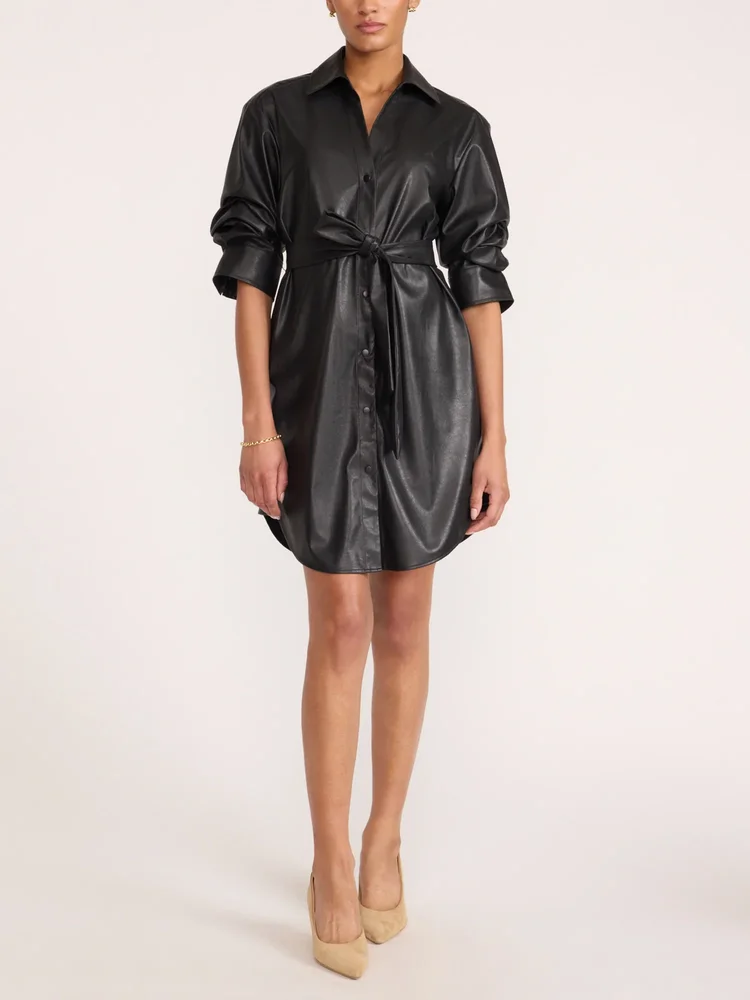 Pia Vegan Leather Dress