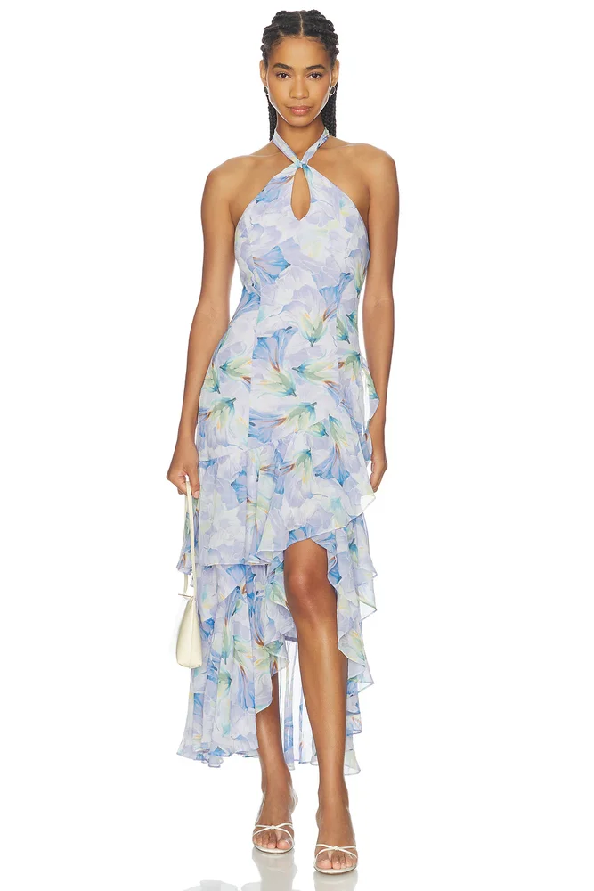 Bethina Dress