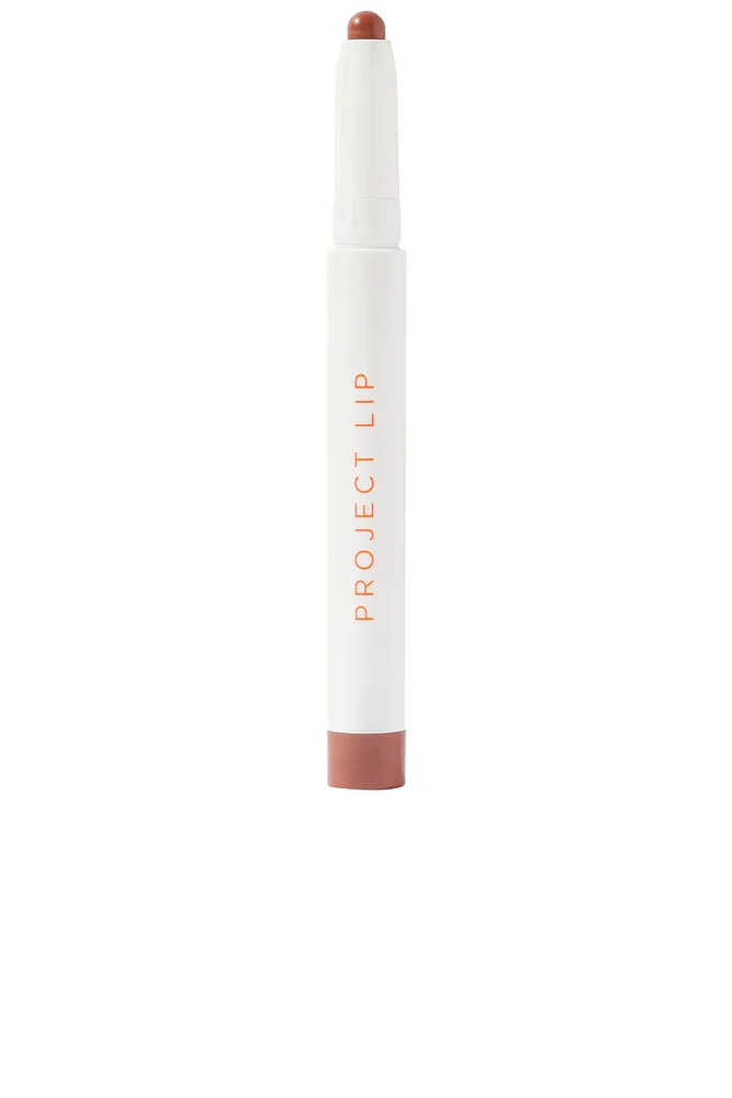 Lip Plump and Fill Up Liner in Nudie