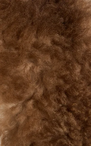 Faux Fur Collar